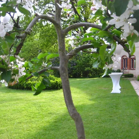 Bed & Breakfast Gartenzimmer Im Schloss Neuhausen 3*