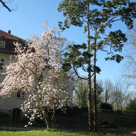 Bed & Breakfast Gartenzimmer Im Schloss Neuhausen