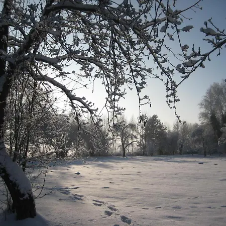 Gartenzimmer Im Schloss Neuhausen Neuhausen (Prignitz)