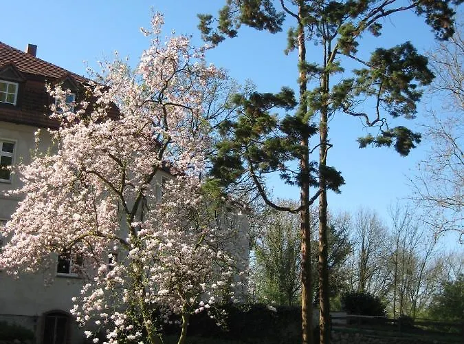 Bed & Breakfast Gartenzimmer Im Schloss Neuhausen